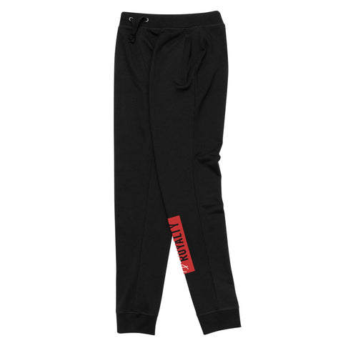 PlugFit Joggers